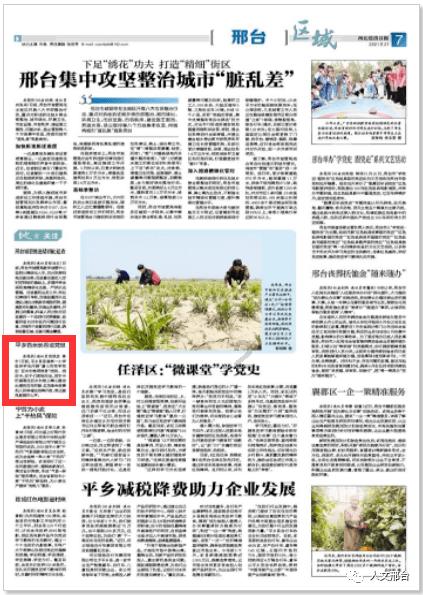 寻找丢失的金币